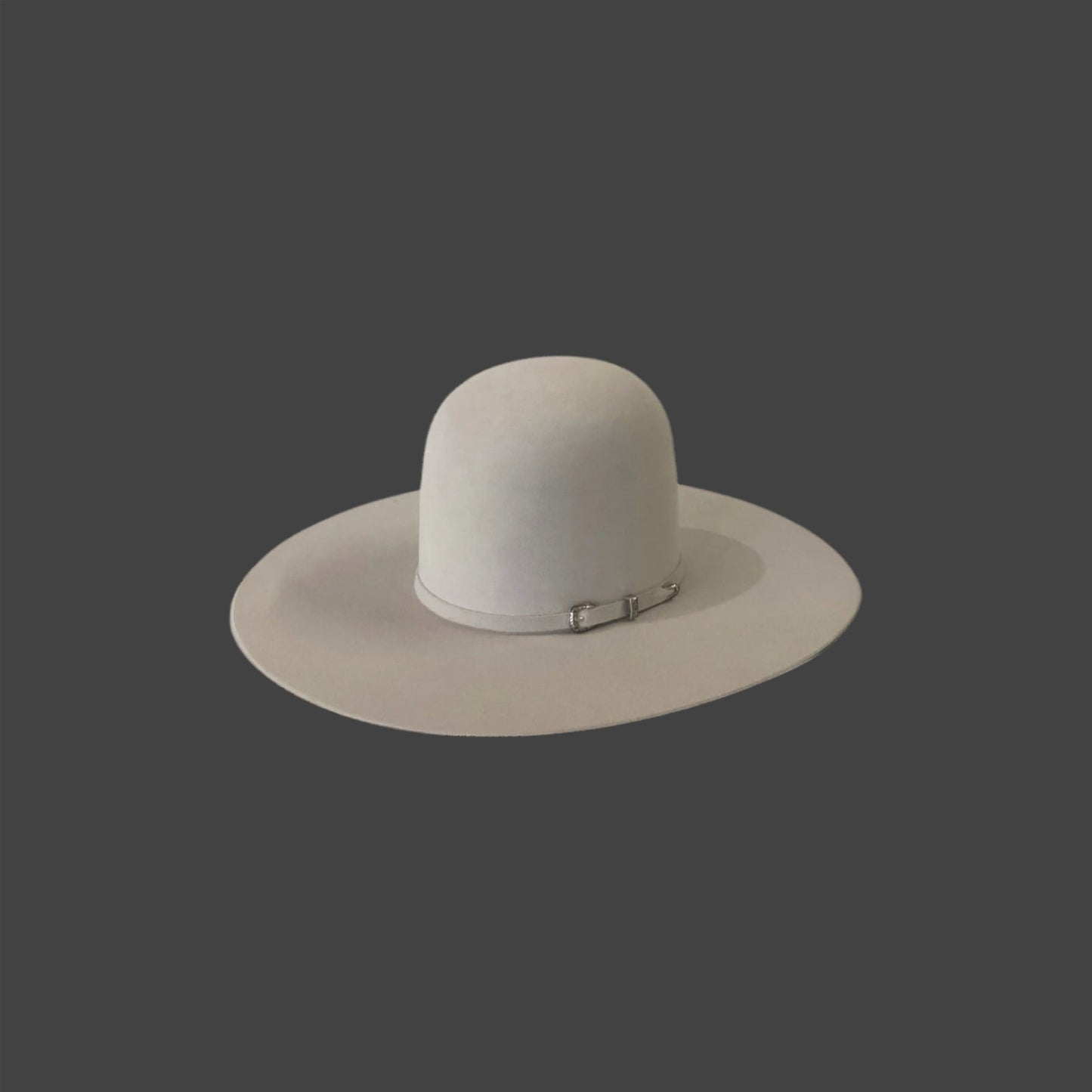 Rodeo King 7X 4 1/2 Brim | Silverbelly