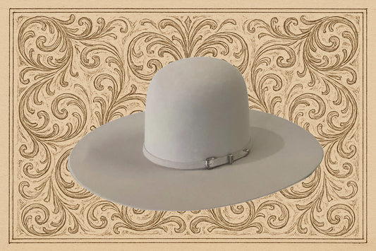 Rodeo King 10X 4 1/2 Brim | Sliverbelly
