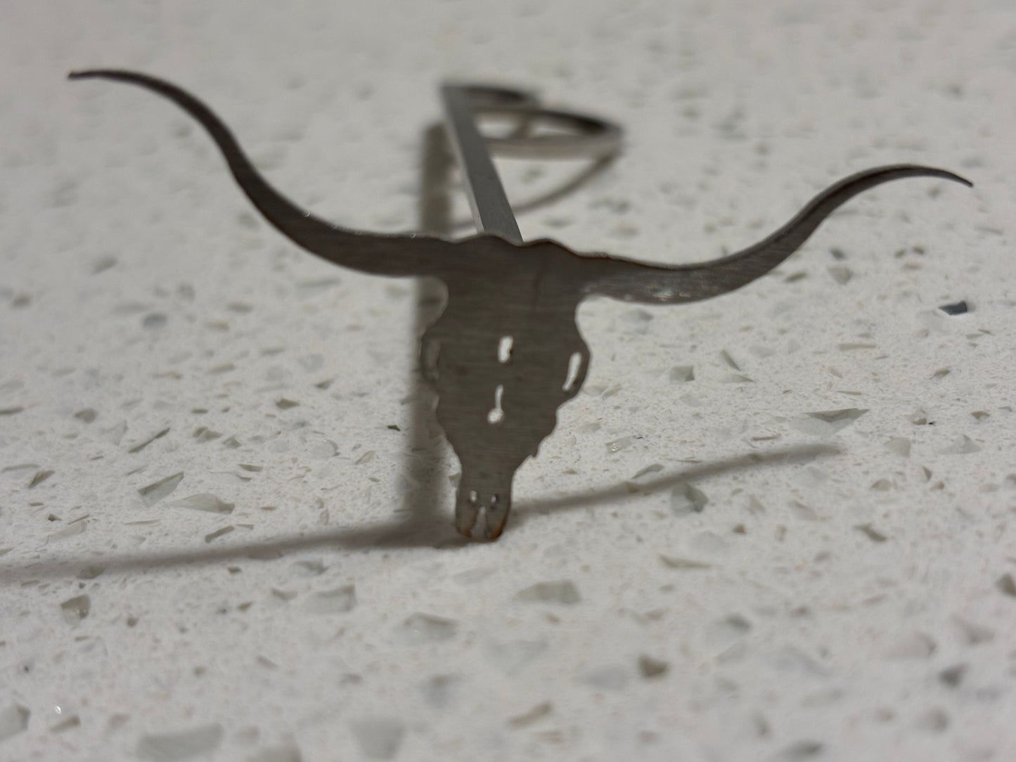 Brand | Longhorn Skull